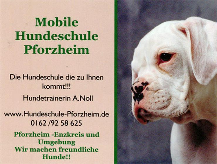 Mobile Hundeschule Pforzheim A.Noll
