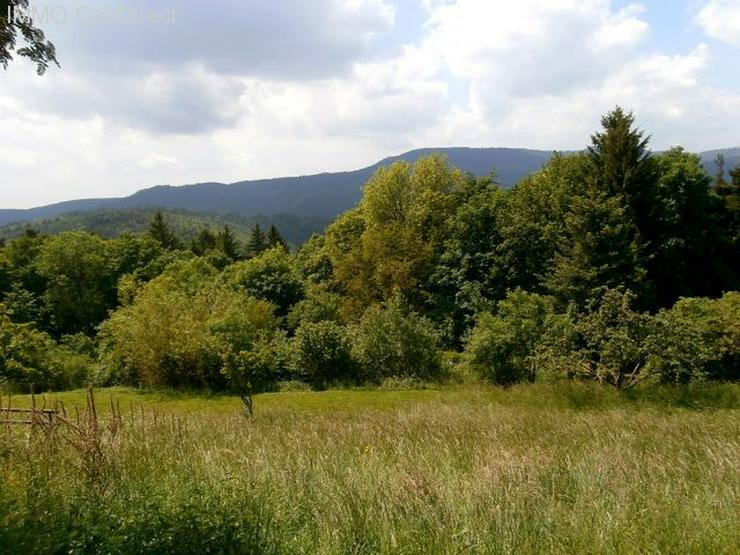 Chaletähnliches Berghaus in fantastischer Lage auf 1 Hektar Land mit Panorama Fernblick i... - Haus kaufen - Bild 14