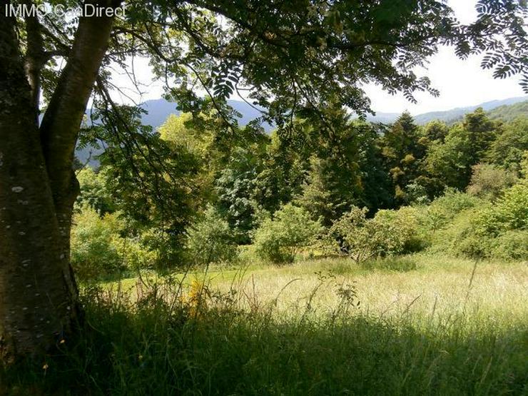 Chaletähnliches Berghaus in fantastischer Lage auf 1 Hektar Land mit Panorama Fernblick i... - Haus kaufen - Bild 15