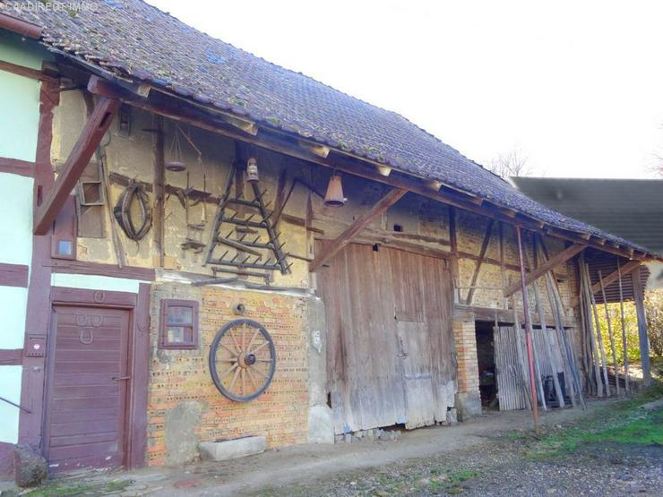Bild 4: Bauernhaus im Dorfkern mit Nebengebäude u. Umschwung im Elsass - 40 km v/Basel und Weil a...
