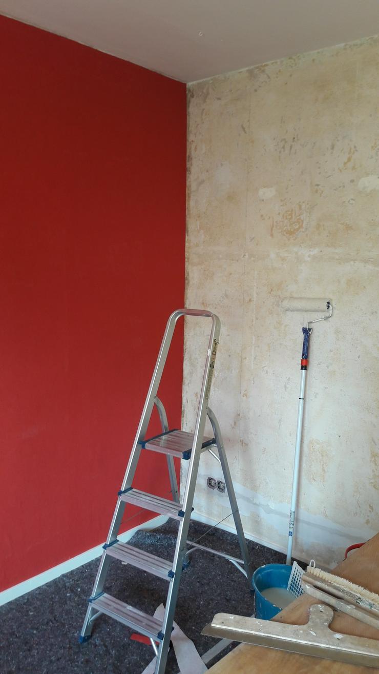 Bild 3: HANDWERKER bietet GÜNSTIGER MALER & Renovierung