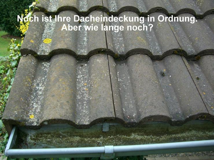 Dachreinigung - Dachbeschichtung