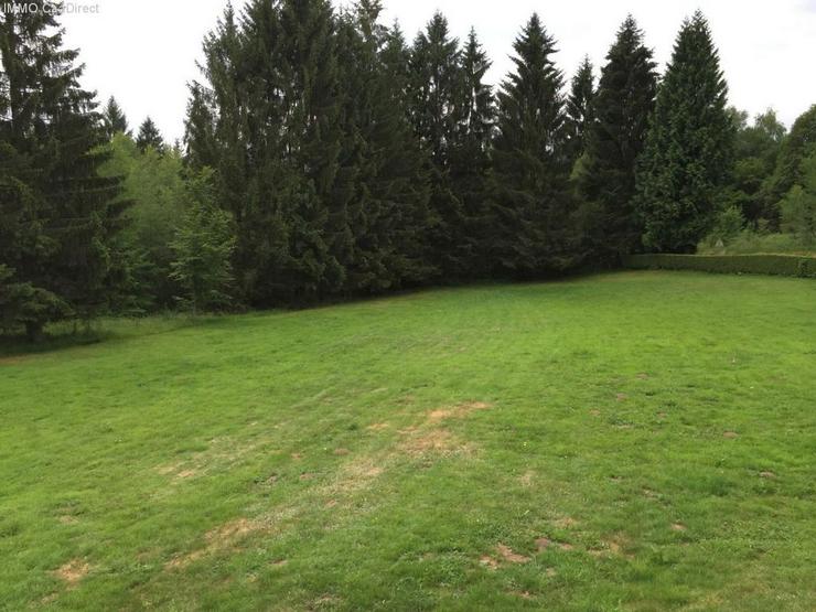 Bild 12: Farm mit 4 Hektar Umschwung - 120 km von Basel