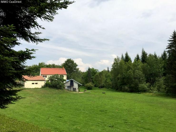 Bild 7: Farm mit 4 Hektar Umschwung - 120 km von Basel