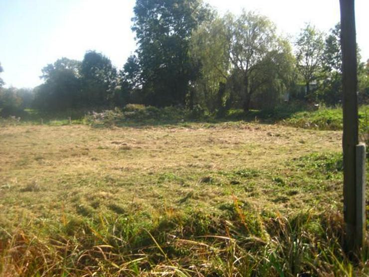 Bild 5: Grundstück in Wilczkow bei Breslau zu verkaufen