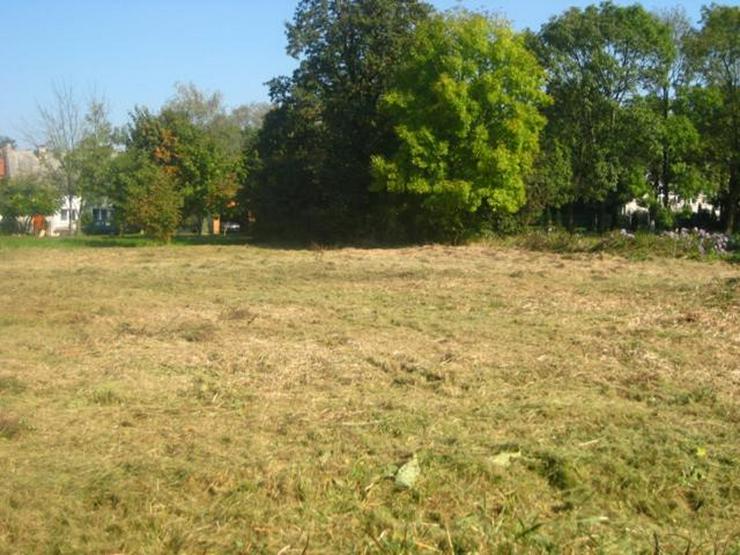 Bild 8: Grundstück in Wilczkow bei Breslau zu verkaufen