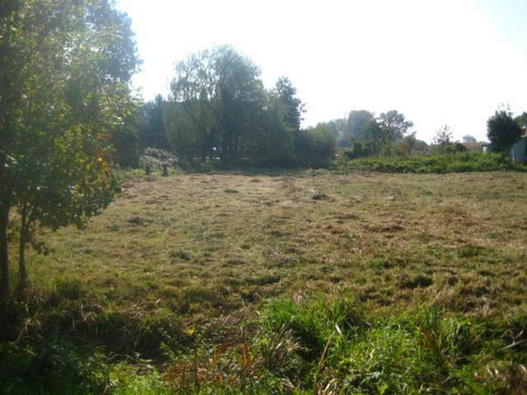 Bild 2: Grundstück in Wilczkow bei Breslau zu verkaufen