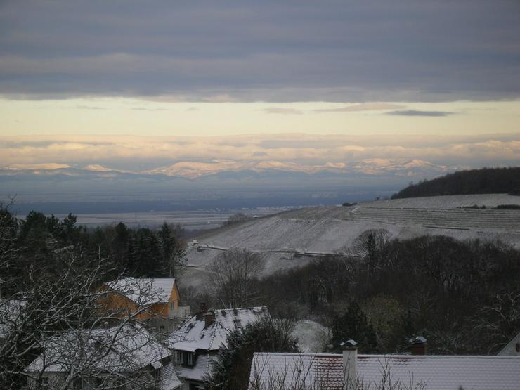 Bild 2: 2-Zi-Ferienwohnung, Badenweiler, ruhig
