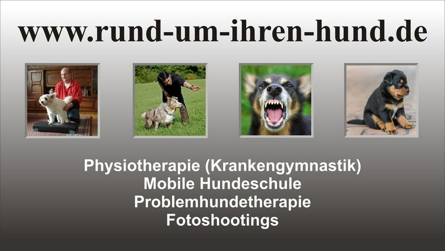 Mobile Hundeschule, Problemhundetherapie