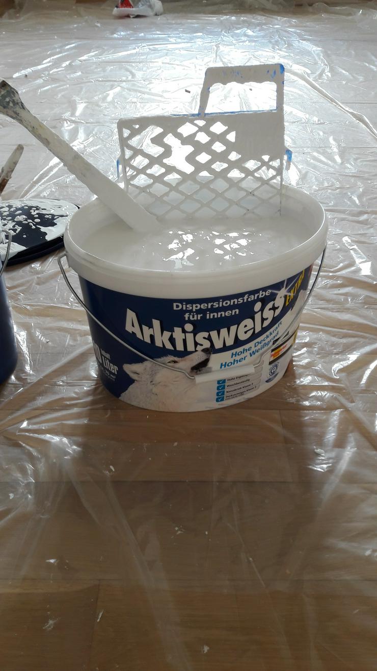 Bild 8: MALER-sucht zum Streichen Ihre Wohnungen bin Günstiger