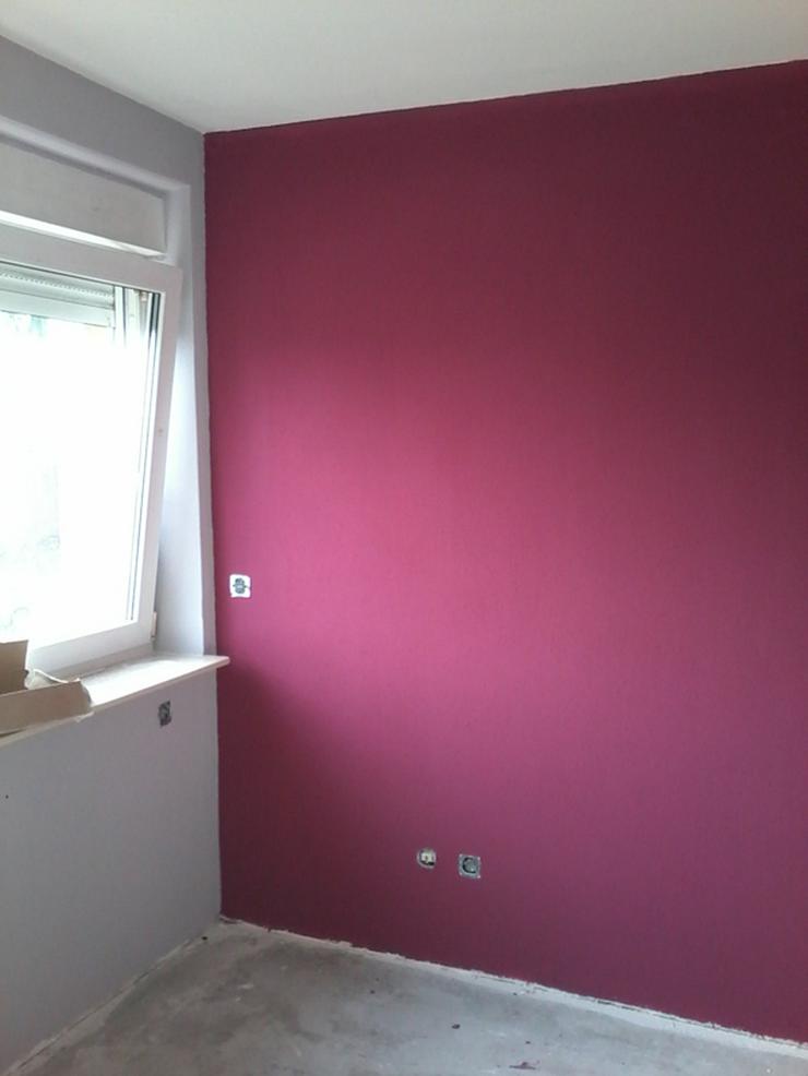 Bild 6: MALER-sucht zum Streichen Ihre Wohnungen bin Günstiger