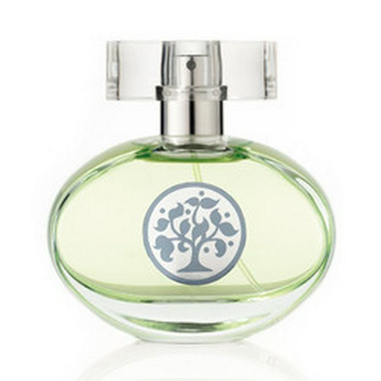 Tree of Life - Parfums - Bild 1