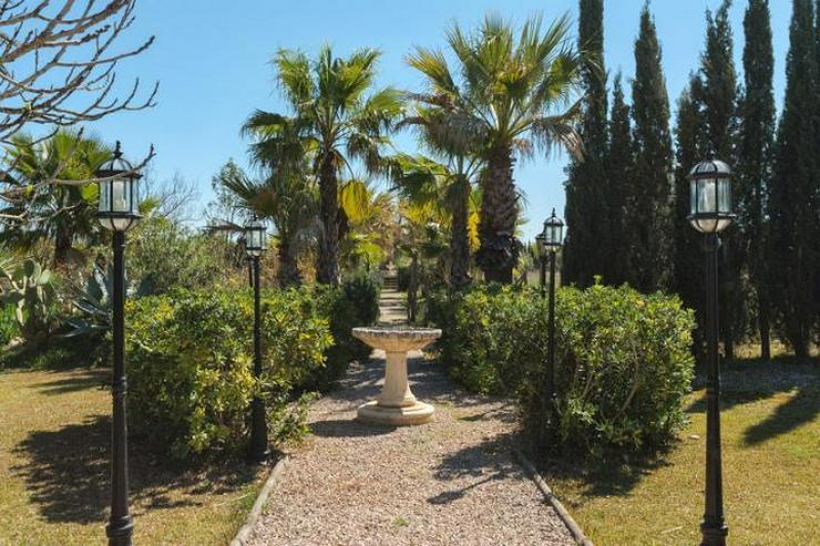 Bild 8: Wunderschöne Finca Agroturismo im Weinbau-Gebiet von Mallorca