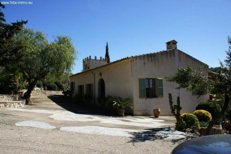 Bild 10: Haus in 07320 - Santa Maria del Cami
