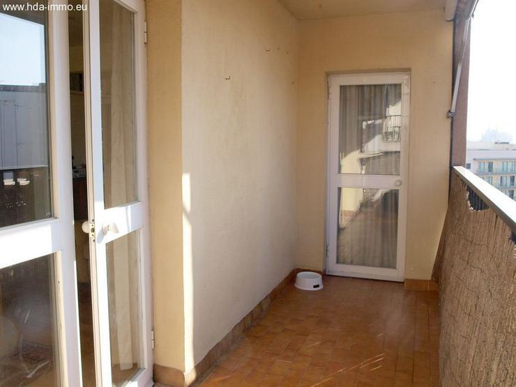 Wohnung in 07001 - Palma de Mallorca - Wohnung kaufen - Bild 8