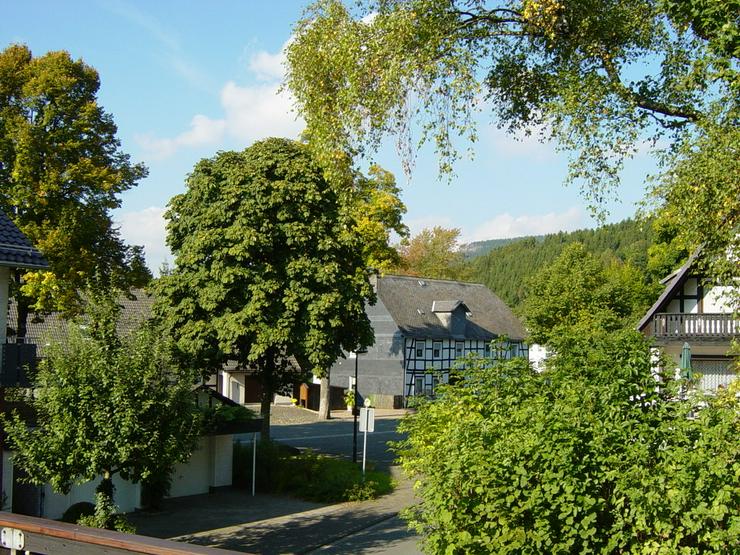 Bild 3: Ferienwohnungen Winterberg/Willingen Sauerland