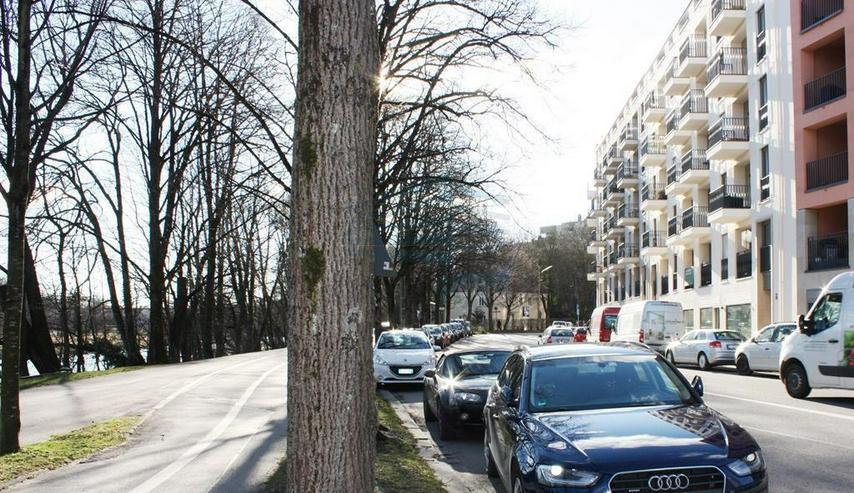 Bild 14: Luxuriöses, sonniges Apartment an der Isar im belebten Dreimühlenviertel