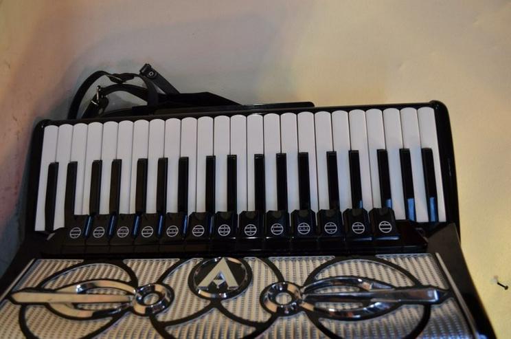 Bild 2: Accordiola Super Manon  5 Chörig