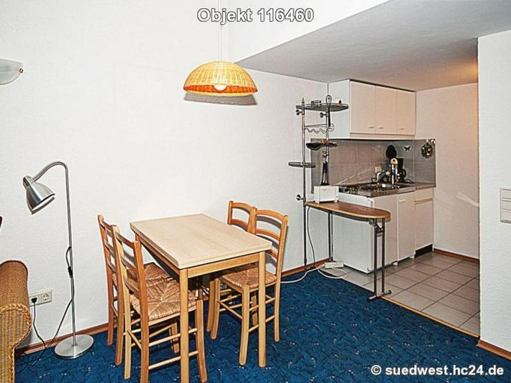 Bild 3: Landau: Modern möblierte 2-Zimmer-Wohnung mit Terrasse und Garten