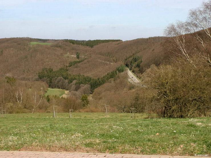 Bild 4: Unverbaubare Fernsicht in der Eifel - 766,00 qm - GS-SB86