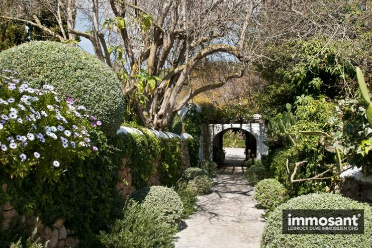 Klassische Finca in Süd Hanglage mit Meerblick nahe Sant Carles - MS05614 - Haus kaufen - Bild 13