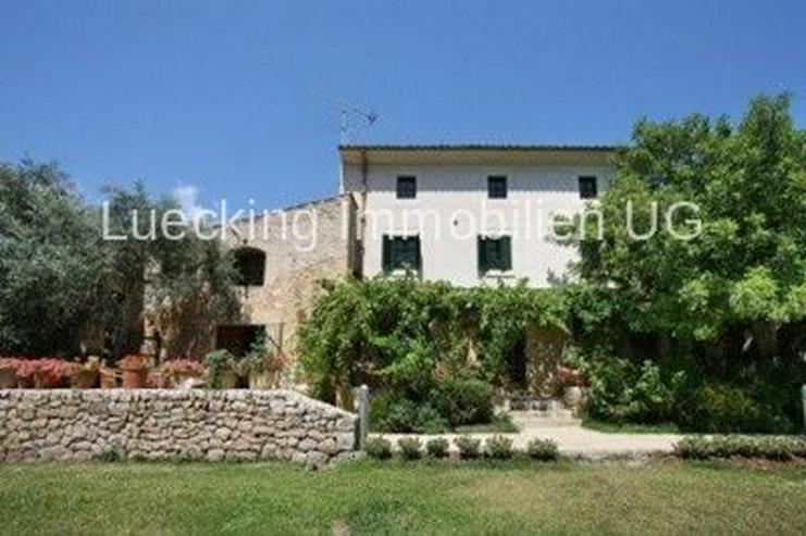 Bild 10: Haus in 07460 - Pollensa