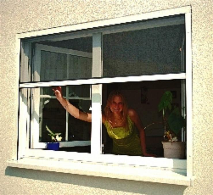 Bild 8: Pollengitter für Fenster von KoriTec