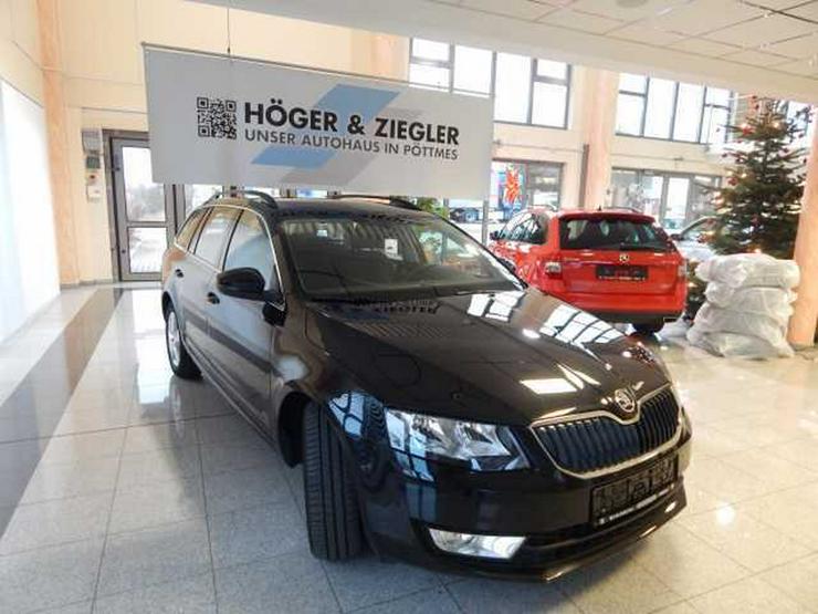 SKODA Octavia Combi 1.6 TDI Green tec Ambition Navi Climatronic SHZ PDC vo.+hi. GRA NSW Alu - Octavia - Bild 2