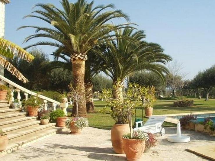 Bild 4: Traumhaftes Fincaanwesen mit Gästehaus u. parkähnlicher Gartenanlage nahe Denia