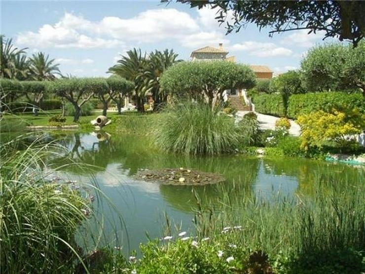 Bild 6: Traumhaftes Fincaanwesen mit Gästehaus u. parkähnlicher Gartenanlage nahe Denia