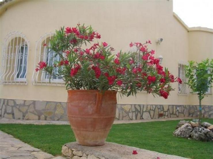 Bild 5: Geschmackvolle Villa mit fantastischem Meerblick in Oliva - San Pere
