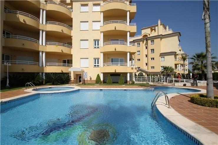 Sehr gepflegtes Apartment im Oliva Nova Golf mit Gemeinschaftspool, Parkplatz, nur 50 m vo...