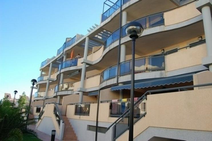 Bild 1: Appartement in Las Marinas
