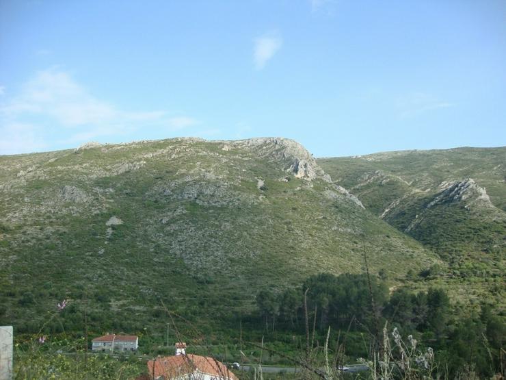 Bild 3: Grundstück in Pedreguer