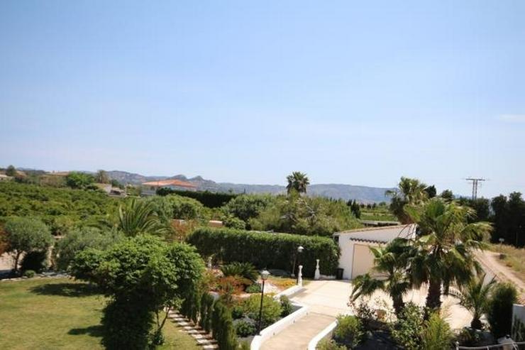 Villa mit 2 SZ und 3000 qm Grundstück mit 4-5 Campingstellplätze in Els Poblets - Haus kaufen - Bild 15