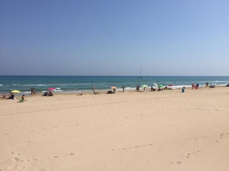 Bild 2: Strandvilla mit Pool und 2 Wohnungen, 6 Schlafzimmer, direkter Zugang zum Dünenstrand von...