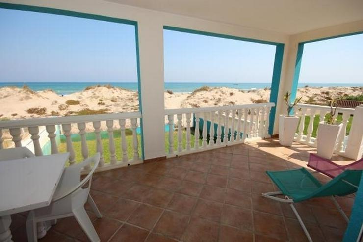 Bild 4: Strandvilla mit Pool und 2 Wohnungen, 6 Schlafzimmer, direkter Zugang zum Dünenstrand von...