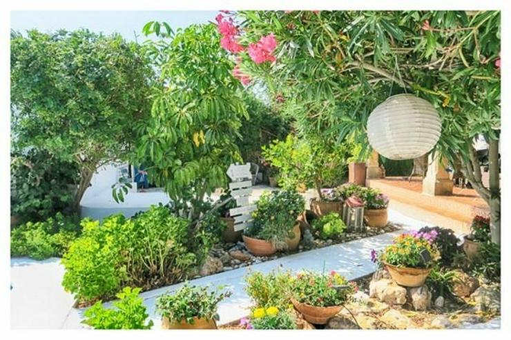 Bild 10: Leben in einem Haus mit einem Traumgarten nur 5 Minuten vom Meer in Els Poblets