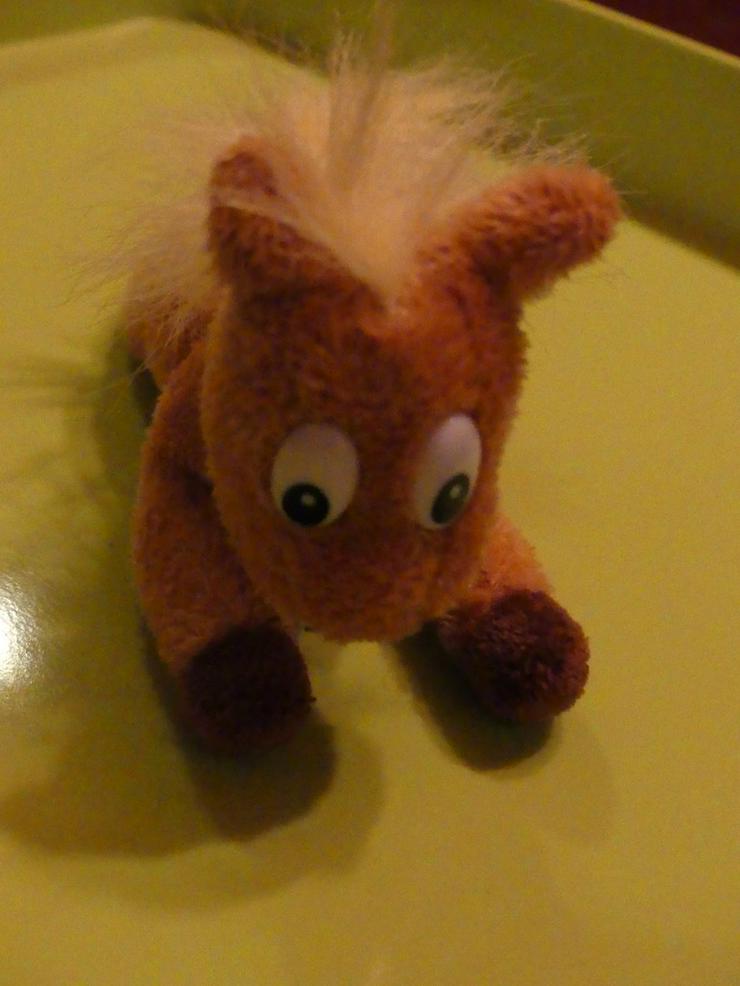 Bild 5: kleines Pony