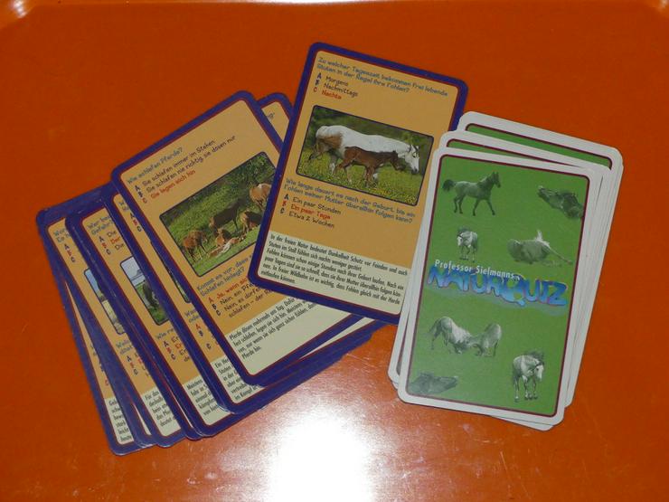 Pferdequiz - Brettspiele & Kartenspiele - Bild 1