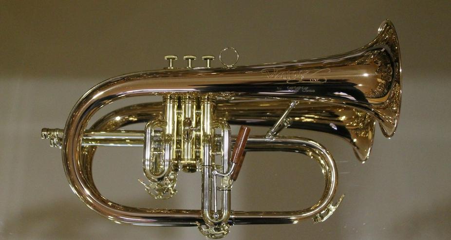 C.G. Conn Vintage One Profiklasse - Flügelhorn - Blasinstrumente - Bild 7