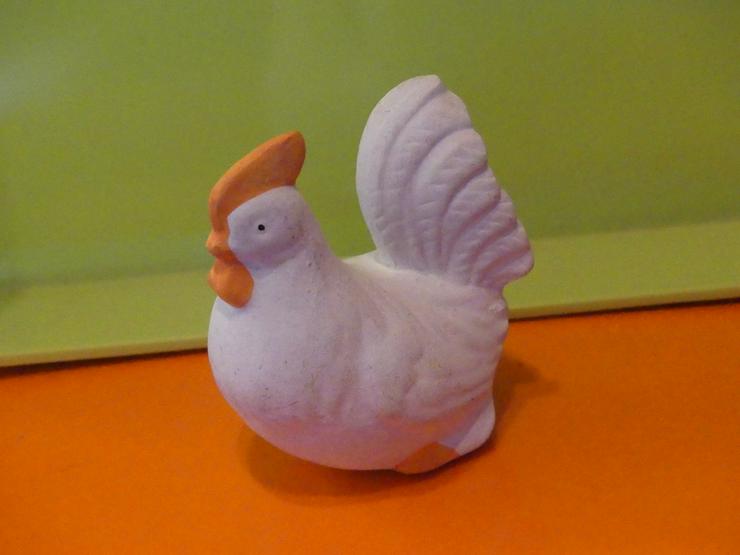 Bild 1: weißes Huhn