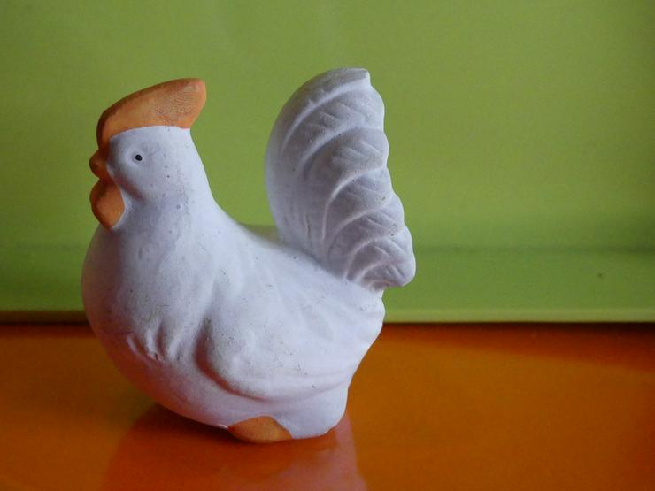 Bild 3: weißes Huhn