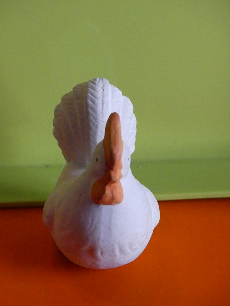 Bild 4: weißes Huhn