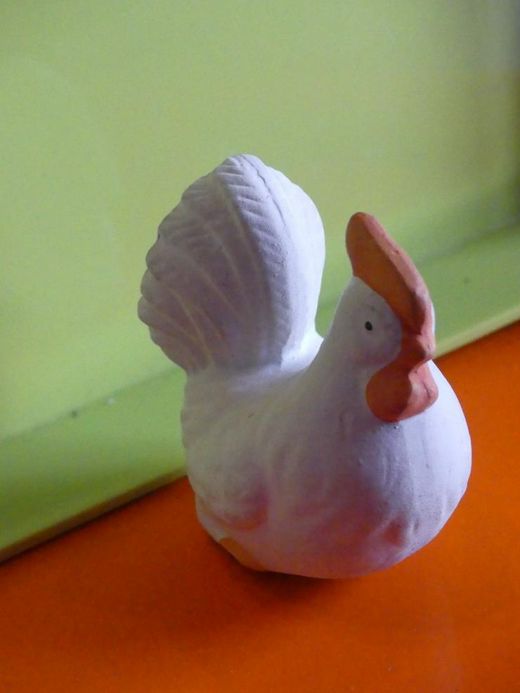 Bild 5: weißes Huhn