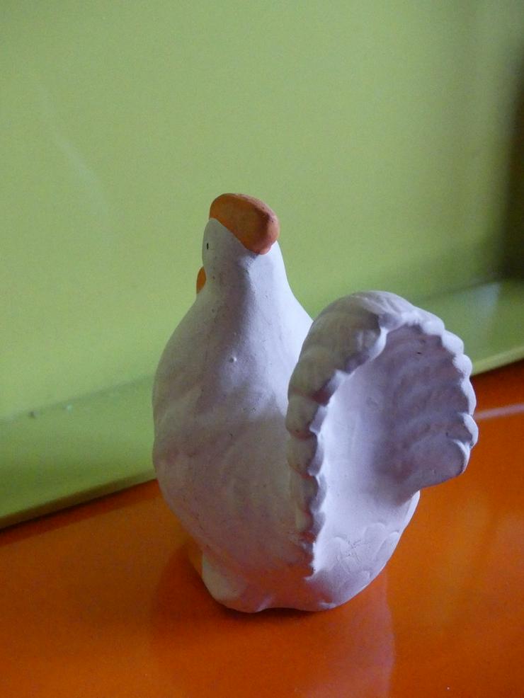 Bild 6: weißes Huhn