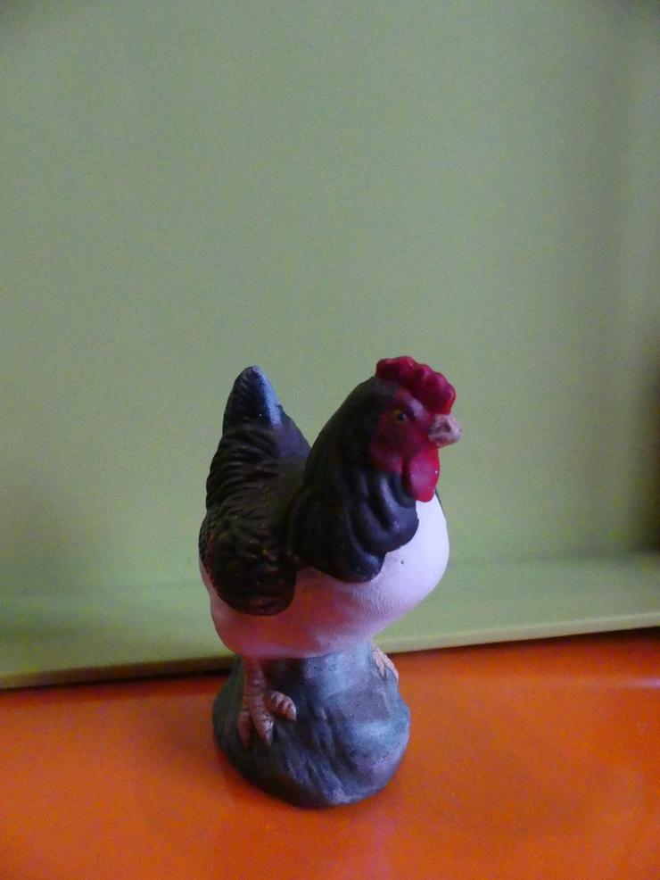 Bild 3: farbiges Huhn