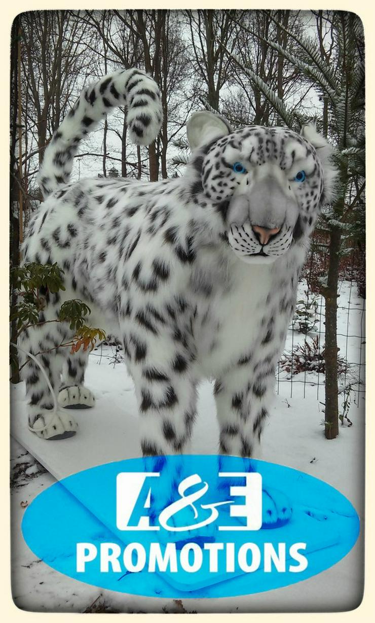 grosse schneeleopard Siberische schneepanter