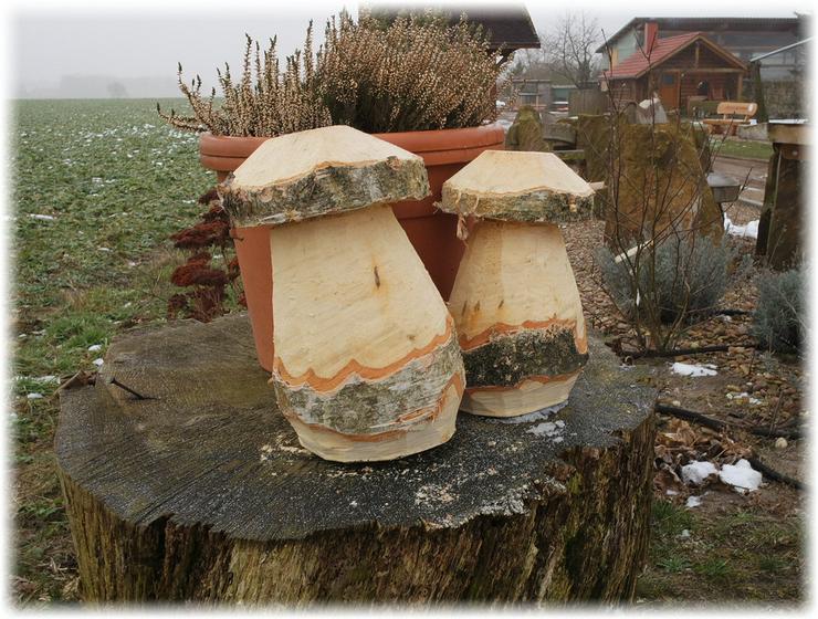 Bild 1: Holzpilz.Pilze.Gartendeko.Holzdeko.