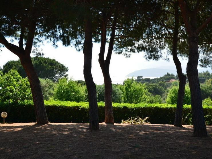 Insel Elba- Ferienhaus mit Meeresblick - Ferienhaus Italien - Bild 10